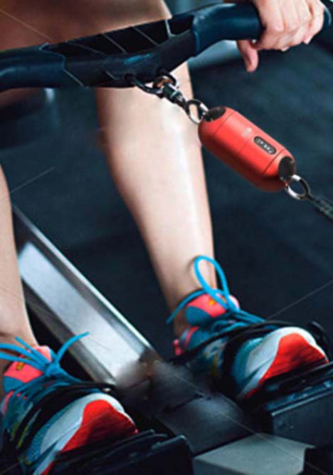 Mass Fitness